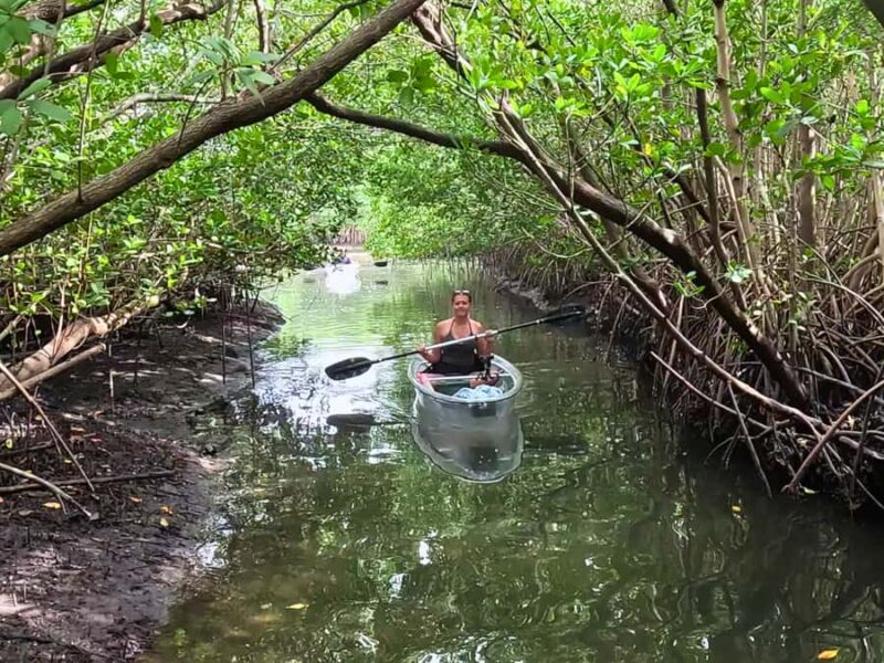 St. Petersburg: Clear Kayak Rental at Clam Bayou Nature Park - Open Bay for Manatees and Dolphins Sightings