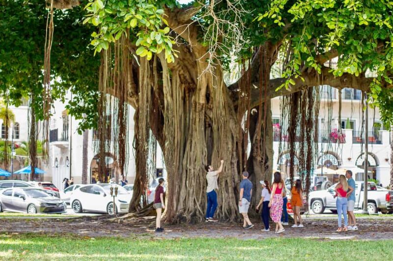 St. Petersburg: Downtown Sightseeing Electric Golf Cart Tour - Limitations and Considerations