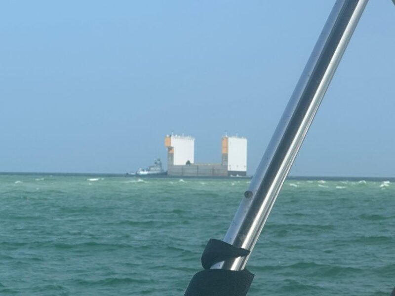 St. Petersburg, FL: 3-Hour Eco Tour with Island Hopping - Snorkeling Near Egmont Key and Shell Key