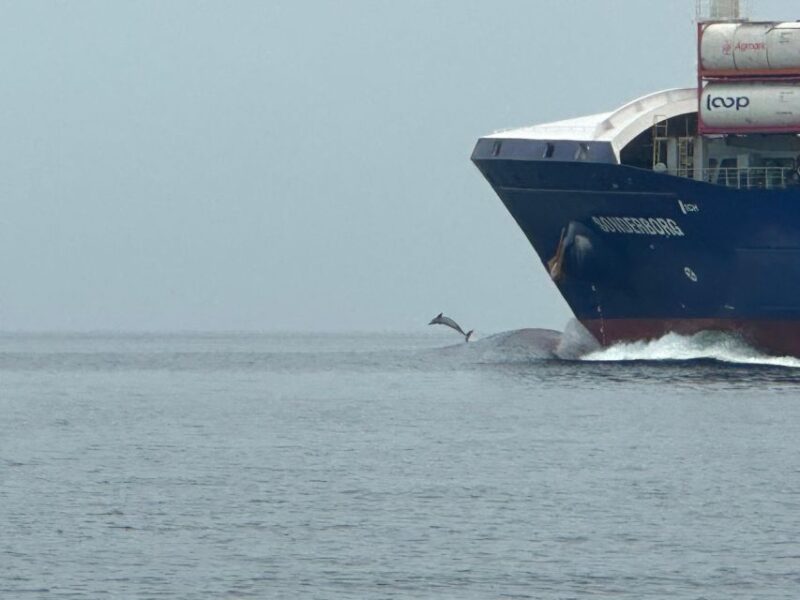 St. Petersburg, FL: 3-Hour Eco Tour with Island Hopping - The Experience of a Private, Eco-Conscious Adventure