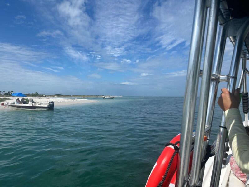 St. Petersburg, FL: 3-Hour Eco Tour with Island Hopping - Who Will Truly Enjoy This Tour