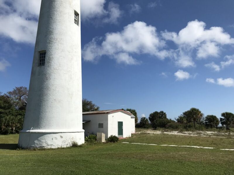 St. Petersburg, FL: 4-Hour Catamaran Cruise to Egmont Key - Wildlife Watching: Dolphins and Tortoises