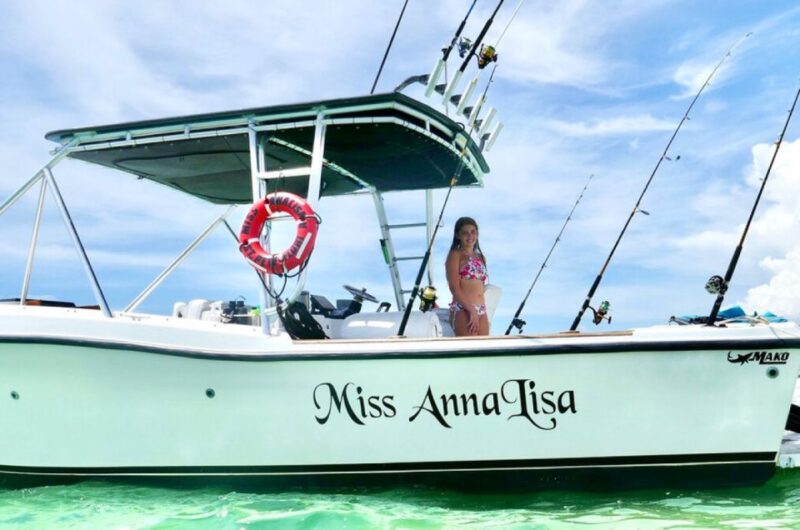 St. Petersburg, FL: Private 2-Hour Dolphin Watching Cruise - Wildlife Education and Fun Facts