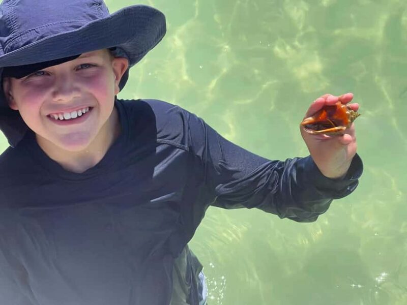 St. Petersburg, FL: Private 5-Hour Egmont Key Boat Tour - Wildlife Spotting: Dolphins, Shorebirds, and Stingrays