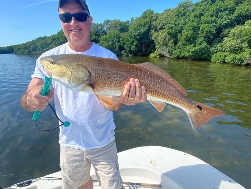 St. Petersburg, FL: Tampa Bay Private Inshore Fishing Trip - Tampa Bay’s Inshore Fish Species and Seasonal Catches
