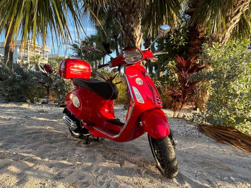 St. Petersburg: Guided Vespa Beach Tour With Curated Stops - Logistics and Practical Tips for Participants