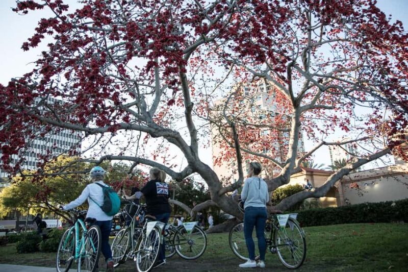 St. Petersburg: Historic Biking Tour - What’s Included in the Tour Package