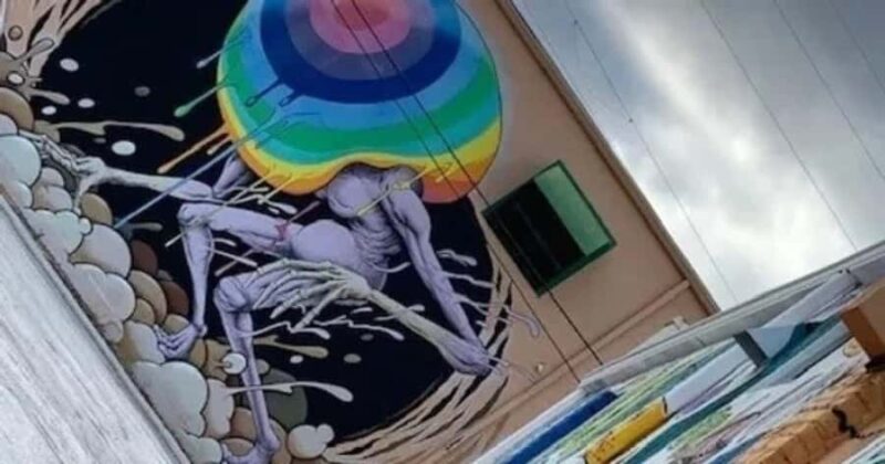 St. Petersburg: Mural Biking Tour - The Experience of a Guided Mural Tour