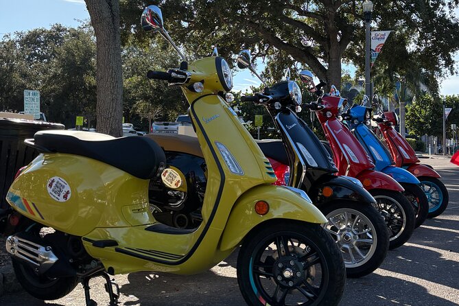 St. Petersburg: Vespa Beach Adventure with Self-Guided Route - Beaches and Water Access with Insider Tips