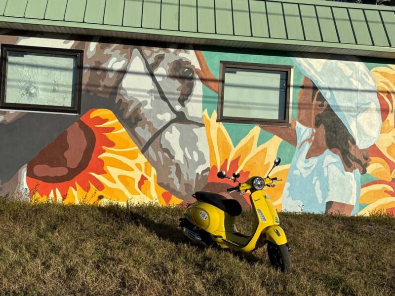 St. Petersburg: Vespa Mural Tour with Guide - Who Should Consider This Tour