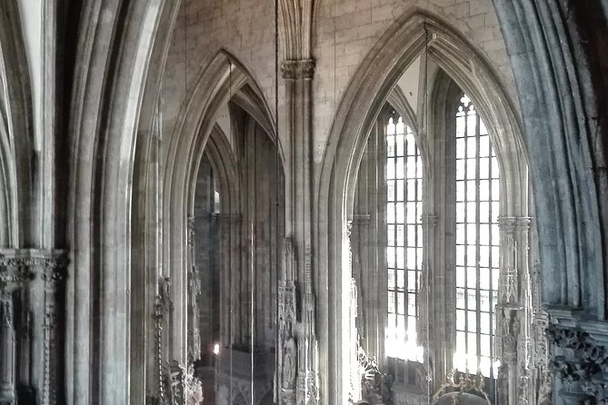 St. Stephen's cathedral - old symbol newly discovered - What Makes This Tour Unique in Vienna