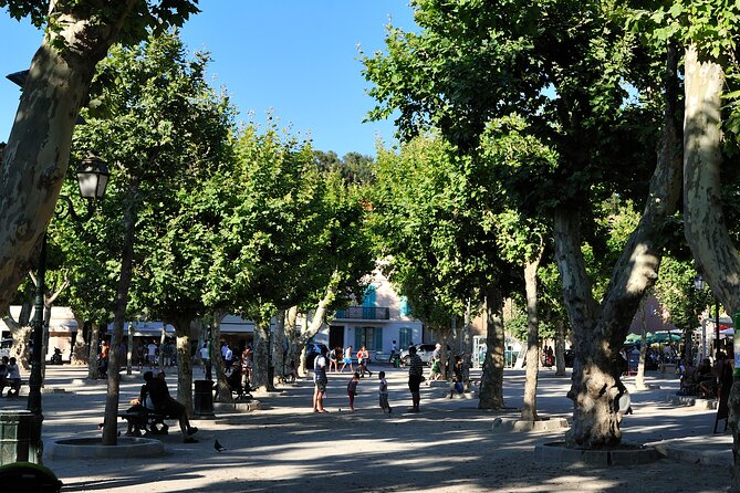 St-Tropez Day Tour from Cannes Small-Group and Shore Excursion - Logistics: Pickup, Transport, and Group Size