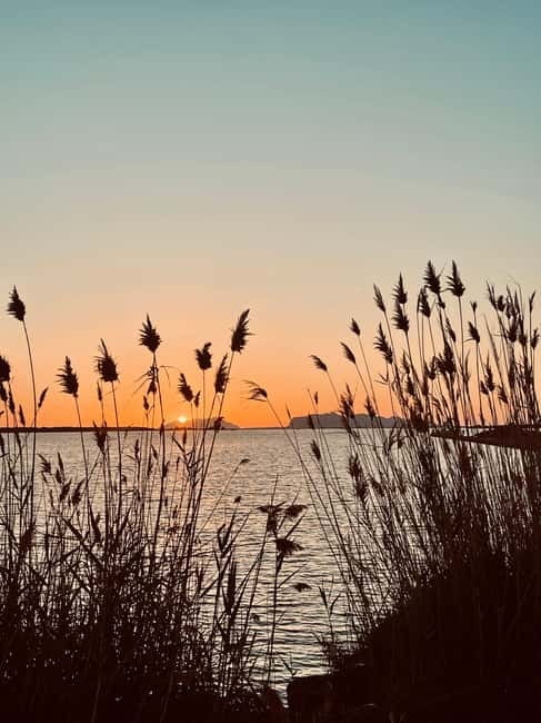 Stagnone di Marsala Sailing Tour - Practicalities and What to Bring