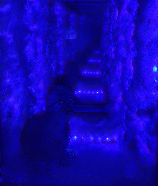 stanbul: Frankenstein House of Horror, Escape Room Game - Why This Escape Room Stands Out in Istanbul