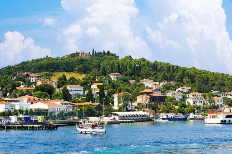 stanbul: Prince Island Full Day Tour - Who Will Appreciate This Prince Islands Tour?