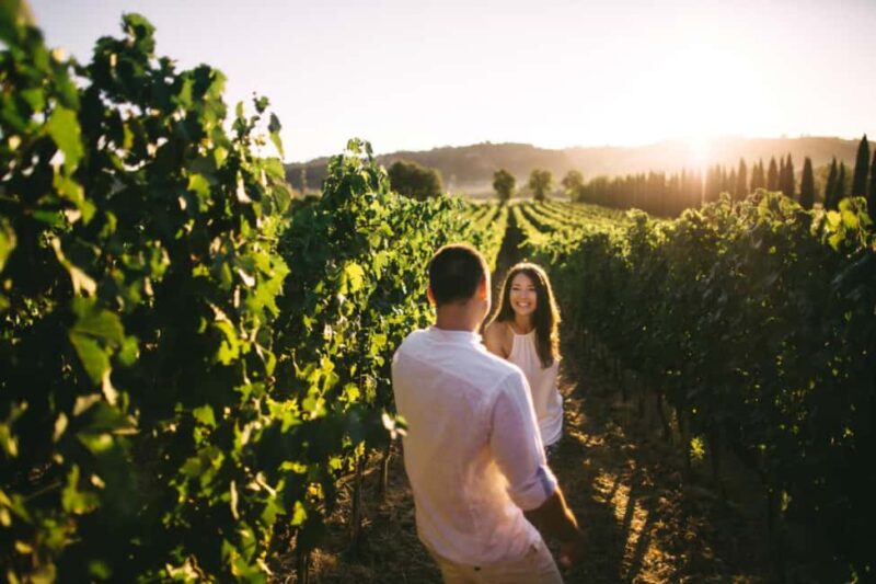 Stancija Collis: A Private Winery adventure in Rovinj - Discover the Charm of a Private Winery Experience in Rovinj