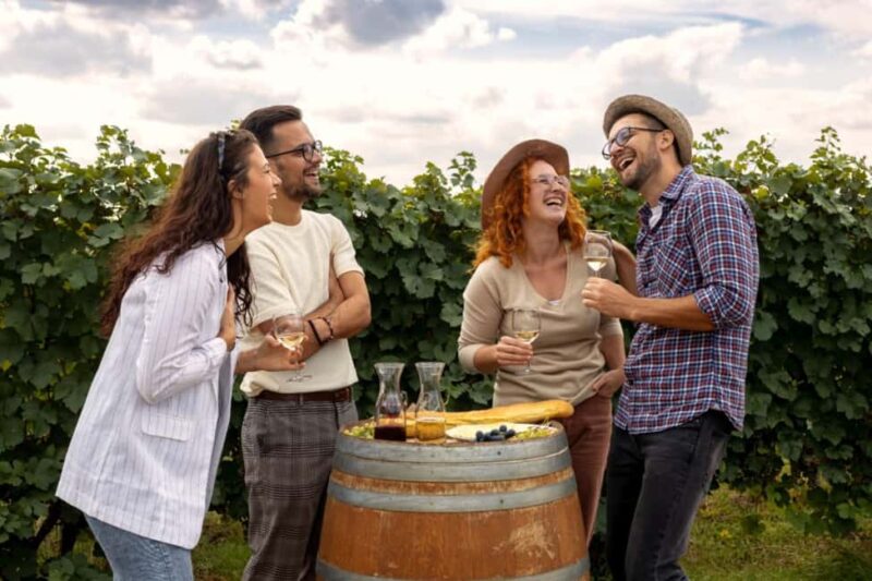 Stancija Collis: A Private Winery adventure in Rovinj - Tasting COLLIS Wines and Olive Oil with Expert Guidance