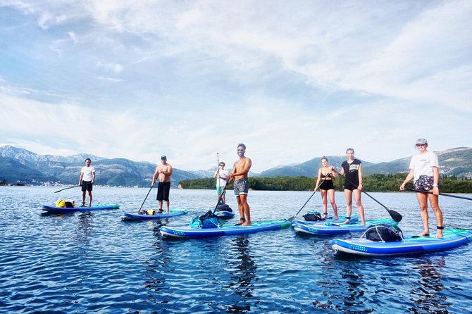 Stand-Up-Paddle Board at Bay of Kotor from Tivat or Kotor - Equipment and Safety Gear Provided