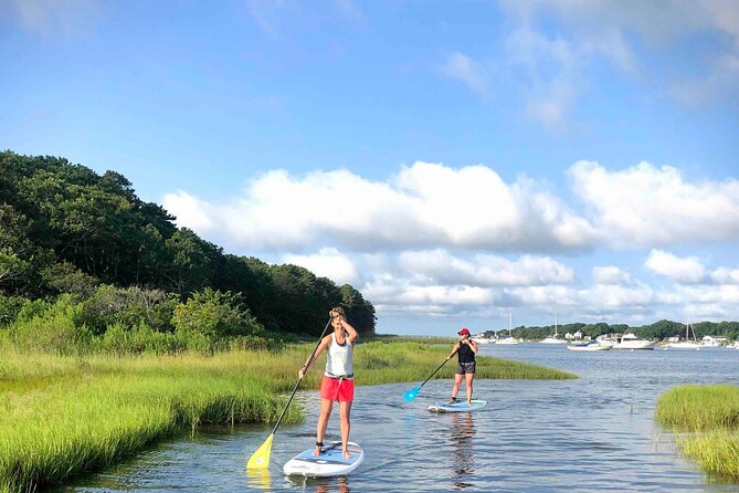 Stand Up Paddle Board Ice Cream Boat Adventure - Discover the Unique Blend of Paddleboarding and Ice Cream in Cape Cod