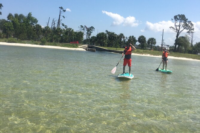 Stand Up Paddle Board Lesson in Panama City Florida - Wildlife and Landmarks: What You Might See During the Tour
