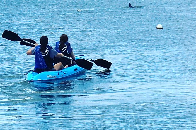 Stand Up Paddle Board Rental - Key Points