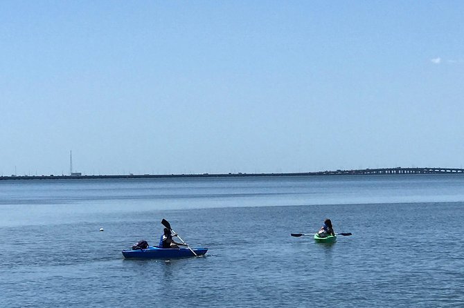 Stand Up Paddle Board Rental - Tampa Water Activity at Its Best: Stand Up Paddle Boarding with Bay Breeze Paddle Adventures