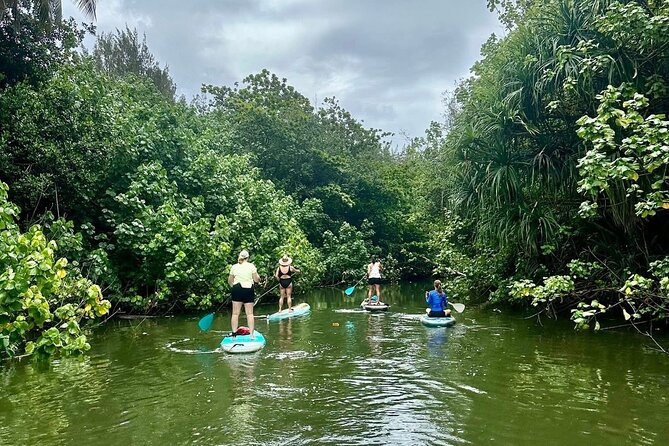 Stand Up Paddle Boarding Adventure in Windward Oahu - From Waikiki to Windward Oahu: Easy Transportation