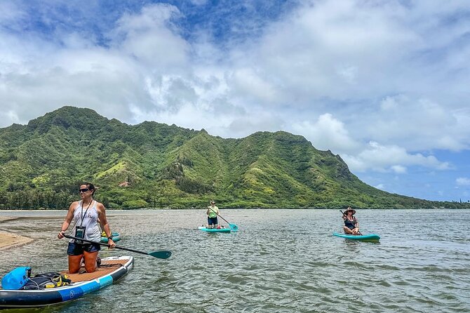 Stand Up Paddle Boarding Adventure in Windward Oahu - Paddleboarding in Paradise: What You Can Expect