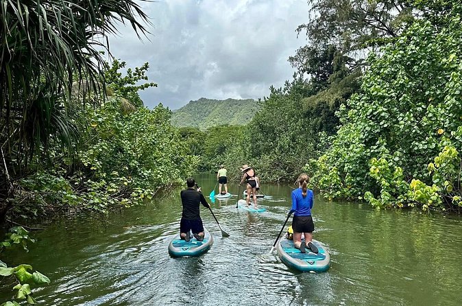 Stand Up Paddle Boarding Adventure in Windward Oahu - Physical Requirements and Suitability