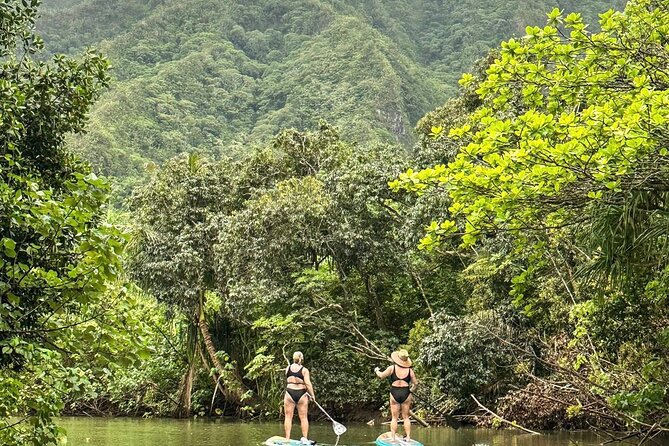 Stand Up Paddle Boarding Adventure in Windward Oahu - Weather Considerations and Cancellation Policy