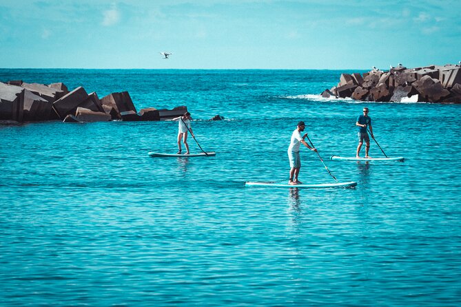Stand Up Paddle Private Lesson in Calheta Beach - Who Will Appreciate This Paddleboarding Lesson?