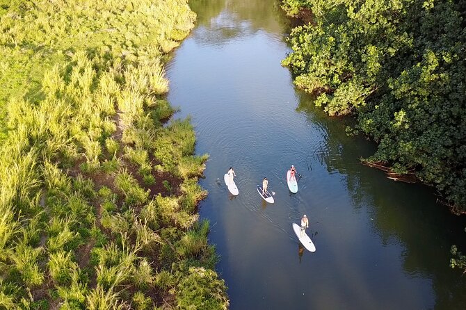 Stand Up Paddle Rental- Wailua River to Secret Falls - The Experience’s Physical and Skill Requirements