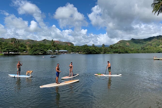 Stand Up Paddle Rental- Wailua River to Secret Falls - The Limitations and Considerations