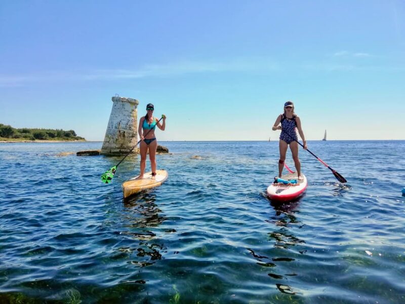 Stand-Up Paddle & Snorkeling with local Guide near Nice - Logistics and Practical Tips for Participants