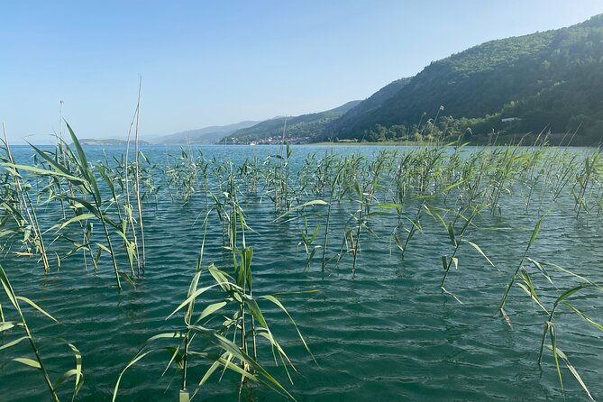 Stand-Up-Paddle Tour on Lake Ohrid - Paddling Toward the Shores for Wildlife and Natural Beauty