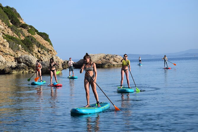 Stand Up Paddle With Dolphins, aperitif and pictures - Dolphins in their Natural Habitat: What to Expect