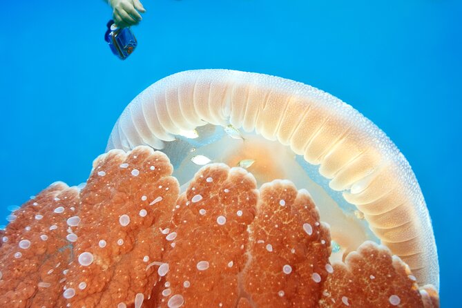 Stand up paddling board for 2 hours rental - Flexibility and Cancellation Policy