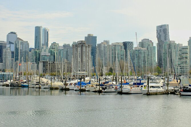 Stanley Park Highlights 3 Hour Walking Tour | Gratuity-Based - Sweeping Views from the Girl in Wetsuit and Lions Gate Bridge