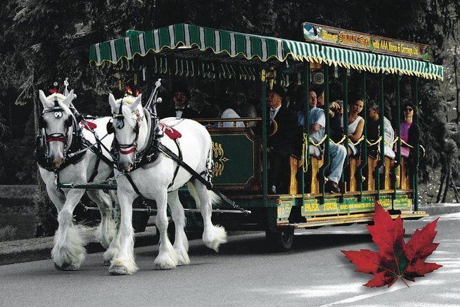 Stanley Park Horse-Drawn Tour - Key Points