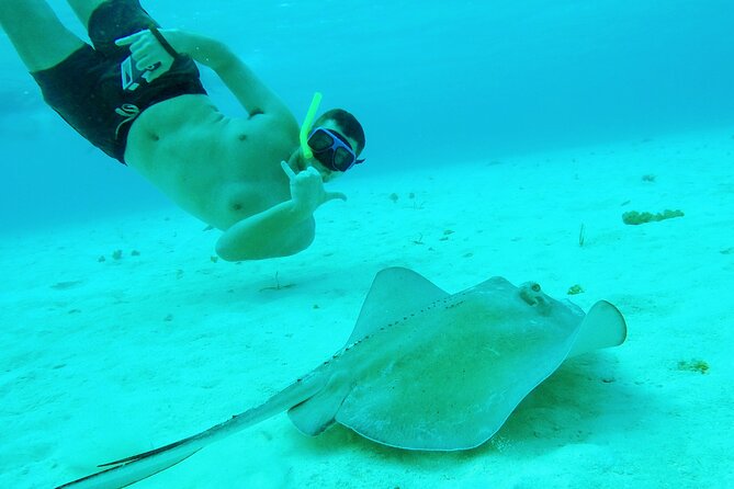 Starfish, Stingrays and the Turtle Sanctuary Snorkeling Tour - Reviews: What Travelers Say About This Tour