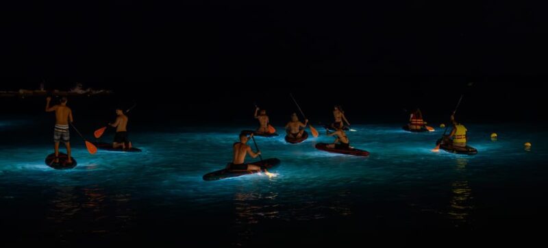 Starlight Paddlesurf during the night in Barcelona - Physical Requirements and Accessibility