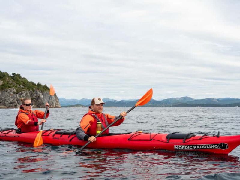 Stavanger City: Guided Kayak Tour with Maritime Museum Visit - The Small Group Advantage and Tour Pacing