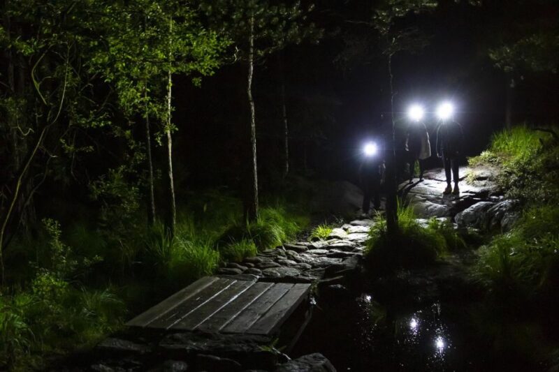 Stavanger: Preikestolen Sunrise Hike + Breakfast Buffet - How This Tour Compares to Other Options