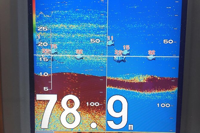 Stavanger Private Safari and Fishings - Fishing with Expert Guidance and Gear