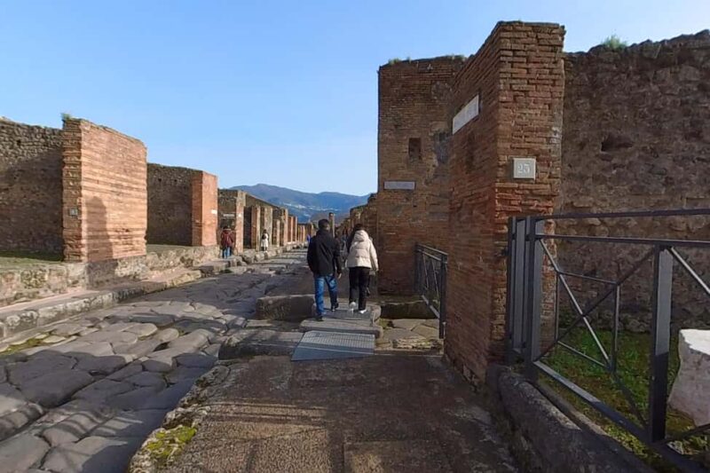 Step Back in Time: Pompeii Guided Tour with Naples Pick up - Exploring Pompeii’s Main Ruins with a Knowledgeable Guide