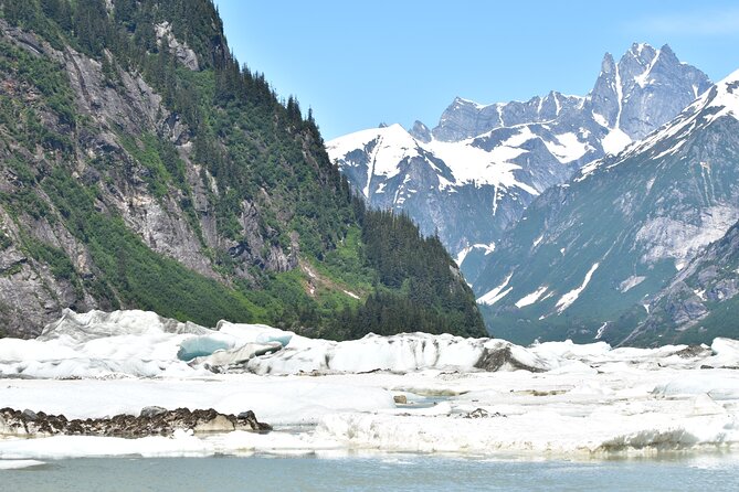 Stikine River Wilderness Tour - The Charm of Wrangell as a Starting Point