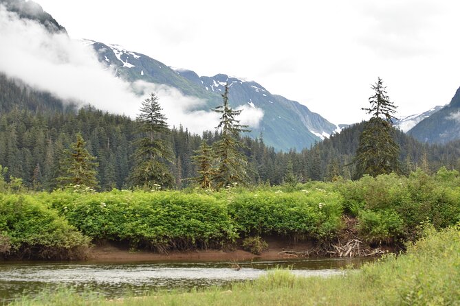 Stikine River Wilderness Tour - The Experience of Wildlife Viewing in the Alaska Wilderness