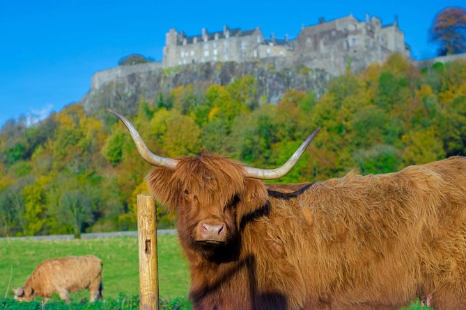 Stirling Castle,Trossachs National and Loch Lomond Day Tour from Edinburgh - Scenic Overlooks of Loch Lomond and Ben Lomond