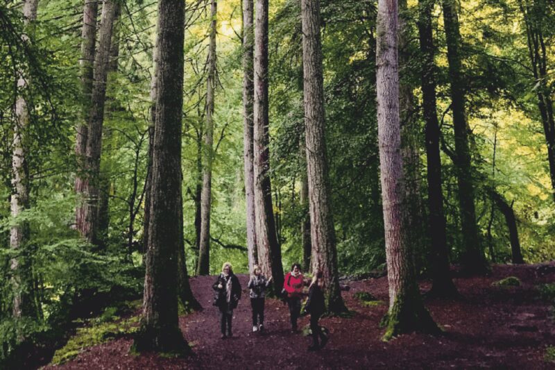 Stirling, Highlands & Destilería desde Edimburgo en español. - Discover the Highlands and Stirling with a Spanish-speaking Guide