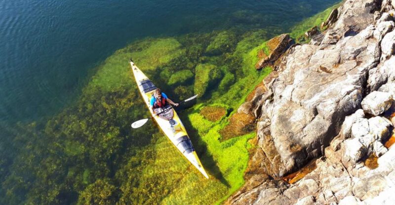Stockholm: 1, 2, or 3-Day Kayaking Tour in the Archipelago - Key Points